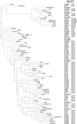 Genomic Insights of Enterococcus faecium UC7251, a Multi-Drug Resistant Strain From Ready-to-Eat Food, Highlight the Risk of Antimicrobial Resistance in the Food Chain